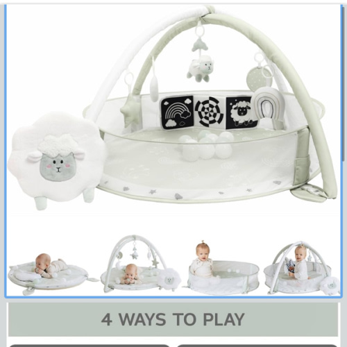 6-in-1 XL Play Mat & Play Gym, Baby Gym, Baby Activity Gym, Sensory Exploration and Motor Skill Development Toys (Sage)