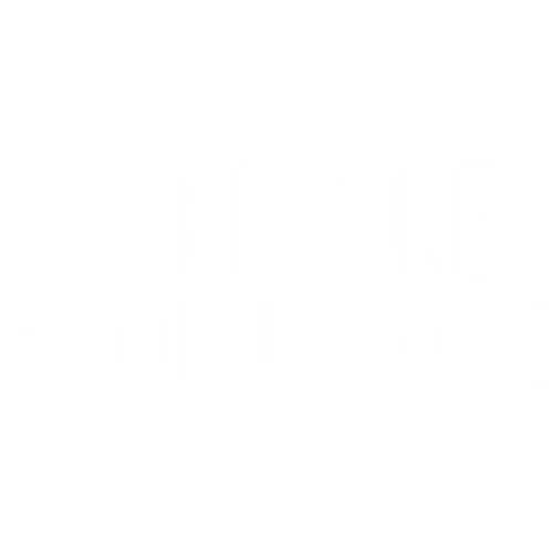 2-in-1 Emergency Window Breaker & Seatbelt Cutter – Adventures With Purpose