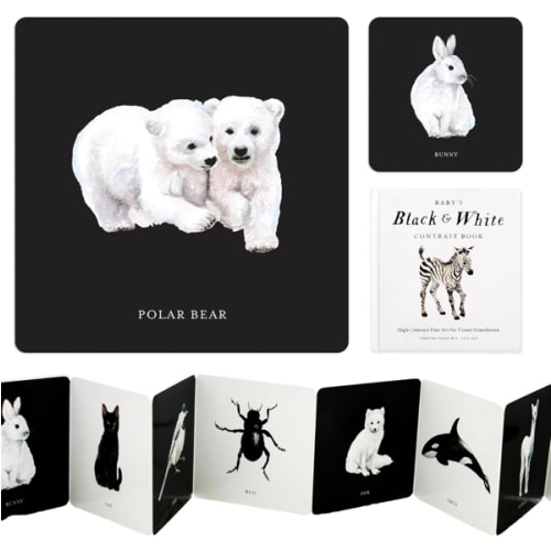 Baby's Black and White Contrast Book