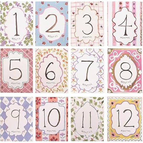 Baby Boy/Girl Monthly Milestone Cards - First Holiday Cards,First Year Month Photo Milestone Cards,Baby Shower Newborn Photo Prop (Cards-2)