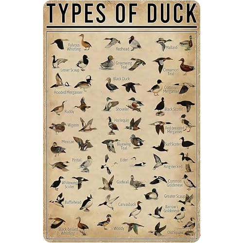 Smilelife Duck Gifts Types of Duck Vintage Tin Sign for Home Office Farmhouse Man Cave Hunting Room Classroom Wall Art Decor 8x12 Inch (3269)