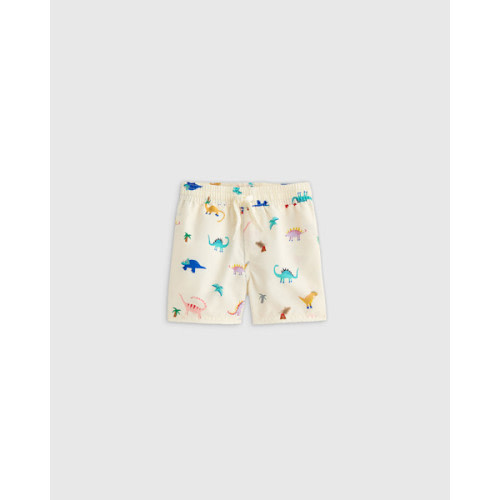 Swim Trunk - Baby in Orange Beach Stripe