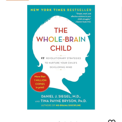 The Whole-Brain Child: 12 Revolutionary Strategies to Nurture Your Child's Developing Mind