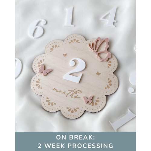 Milestone Marker Baby Girl Monthly Butterfly Scalloped Months Disc Baby Shower Gift Photo Prop
