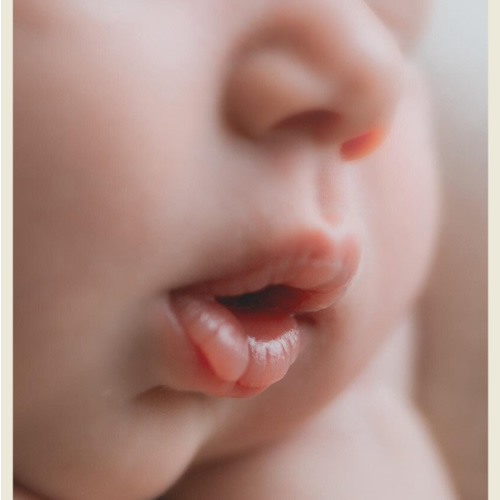 Newborn Photo Session