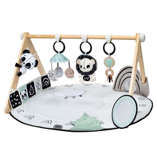 Black & White Décor Luxe Developmental Gymini