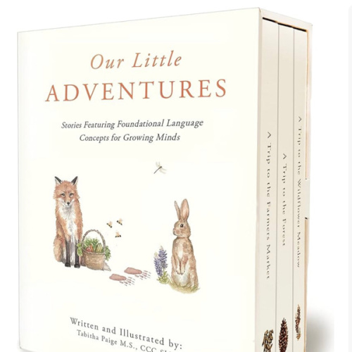 Our Little Adventures: Stories Featuring Foundational Language Concepts for Growing Minds (Tabitha Paige Children's Book Series)