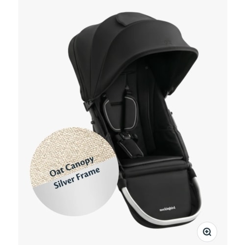Stroller Seat with Canopy 3.0