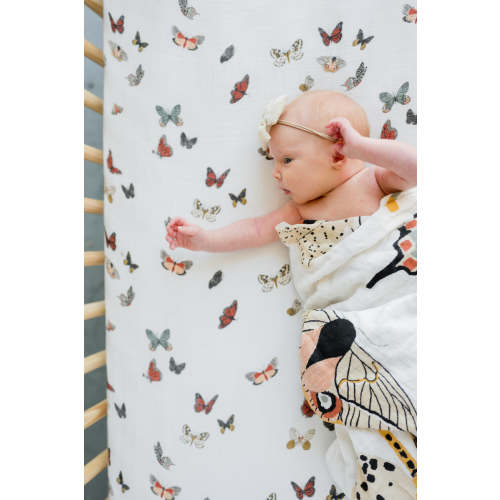 Butterfly Mini Bundle – Clementine Kids