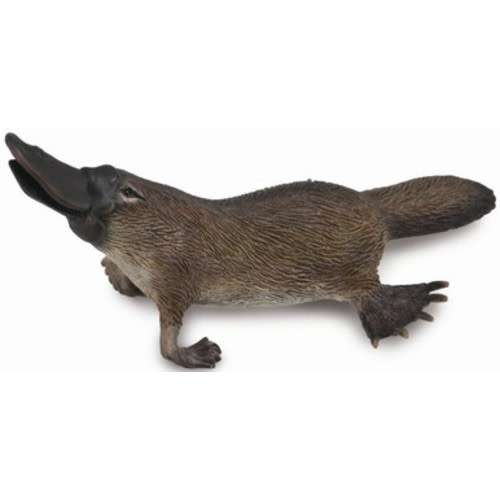 CollectA Platypus #88795 - Duck billed mammal model