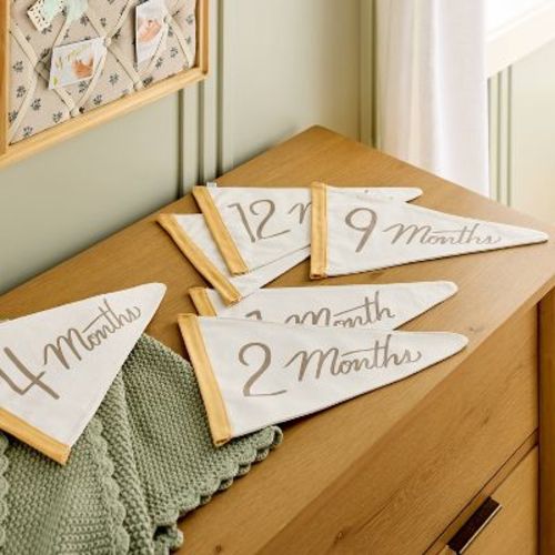 Newborn Milestone Pennants 6pc - Hearth & Hand™ with Magnolia
