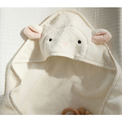 Super Soft Lamb Baby Hooded Towel And Washcloth