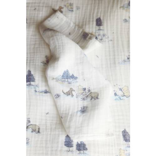 2-PACK PATTERNED MUSLIN CLOTHS