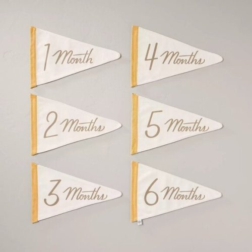 Hearth & Hand Magnolia Newborn Milestone Pennants 6pc - Target