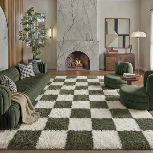 BERTHMEER 6'x9' Shag Area Rugs for Bedroom Dorm Entrance Laundry Entryway Modern Checkered Contemporary Plush Soft Carpets Indoor Fuzzy Fluffy Washable Throw Rugs, Green