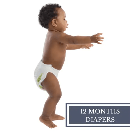 12 Month Diaper Subscription - Other Options Available - Millie Moon Diaper - Baby Showers By Mail