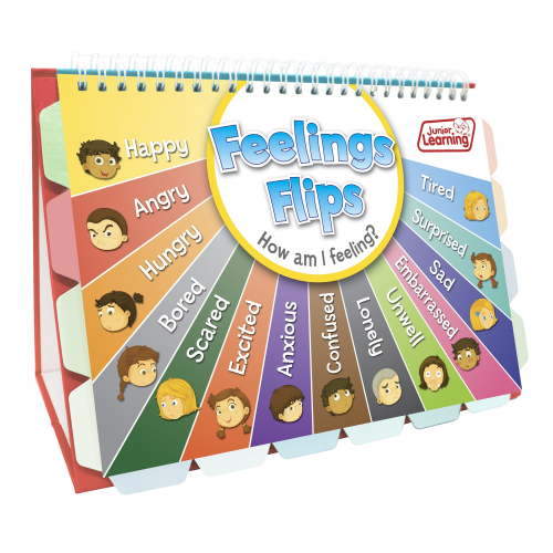 Feelings Flips Junior Learning for Ages 4-8 Pre Kindergarten to Grade 1 Learning, Character Education, Perfect for Home School, Educational Resources