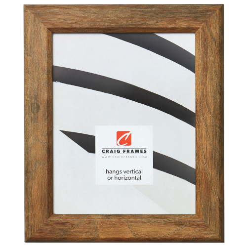 Craig Frames Arthur, 24x36 inch Picture Frame, Brown Barnwood
