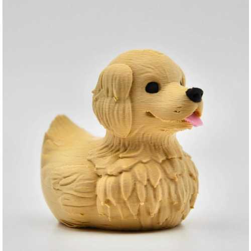 Golden Retriever Duck