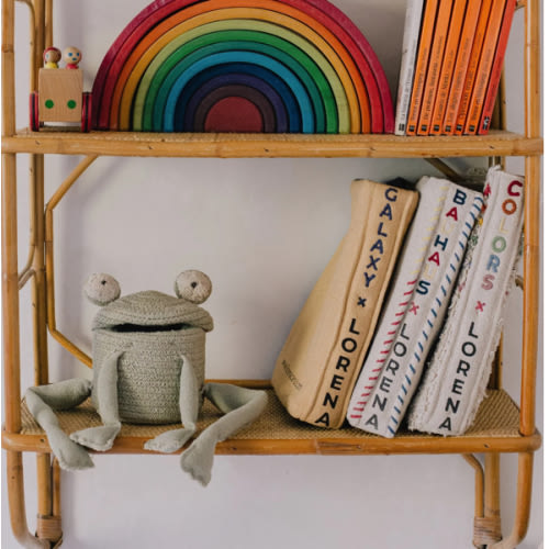 Little Frog Basket