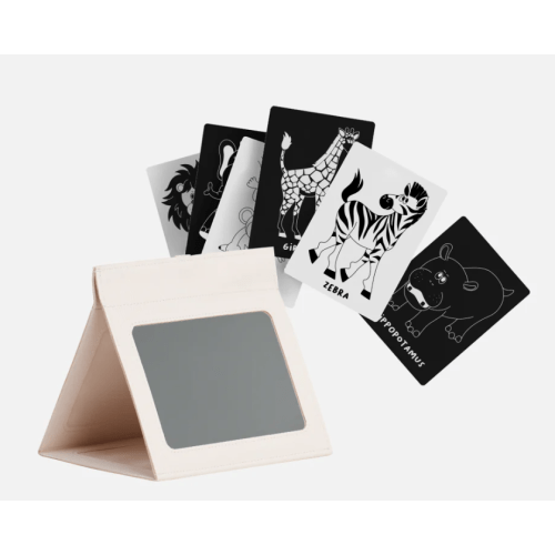 tummy time mirror & art cards