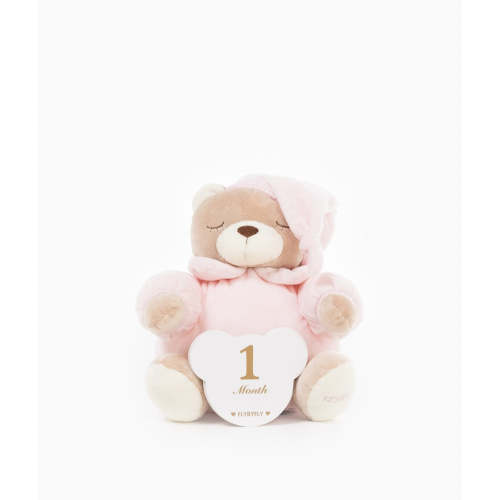 Baby Milestone Cards | Pink