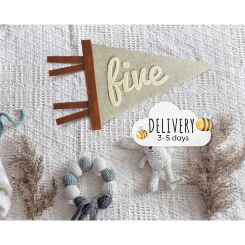 Baby milestone cards, Kids and Baby monthly milestone marker, Personalized pennant, Monthly milestones baby boy, Newborn  Milestone pennant