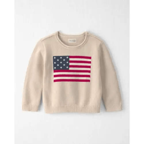 Toddler Organic Cotton American Flag Knit Sweater - Little Planet | Carter's