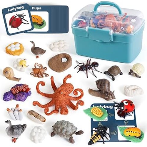 Life Cycle Toys for Kids - Life Science Education Kits: Ladybug, Ants, Goose, Land Turtle, Snail, Octopus - 24 Pieces Animal Models STEM Learning Toys for 3-10 Year Old