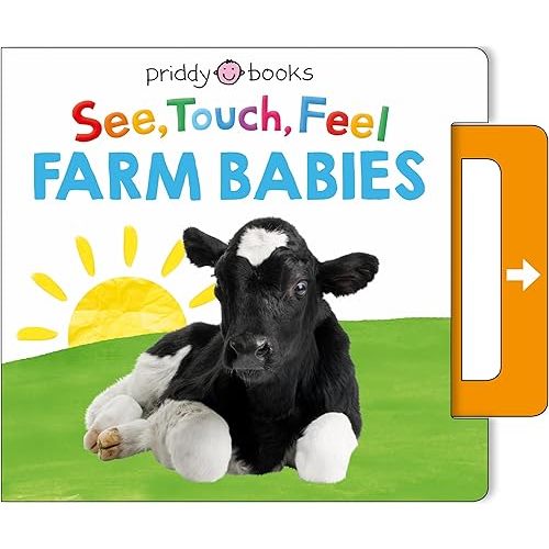 See, Touch, Feel: Farm Babies: A Noisy Pull-Tab Book Board book – October 31, 2023