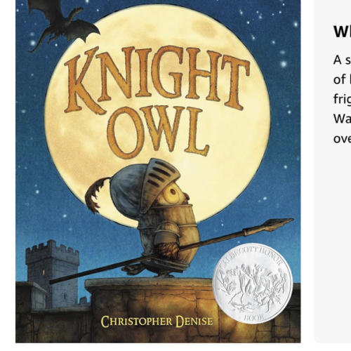 Knight Owl (Caldecott Honor Award Winner) (The Knight Owl Series, 1)