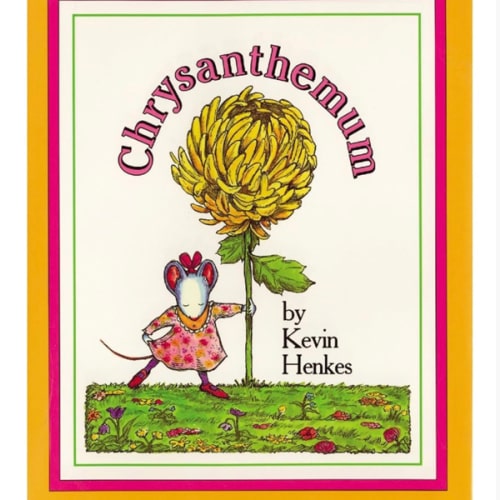 Chrysanthemum