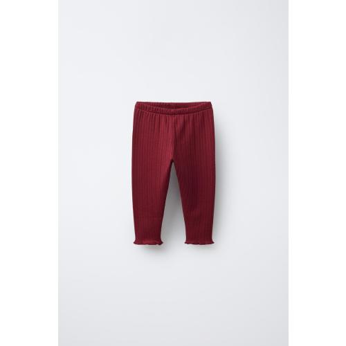POINTELLE COTTON LEGGINGS - Burgundy | ZARA United States