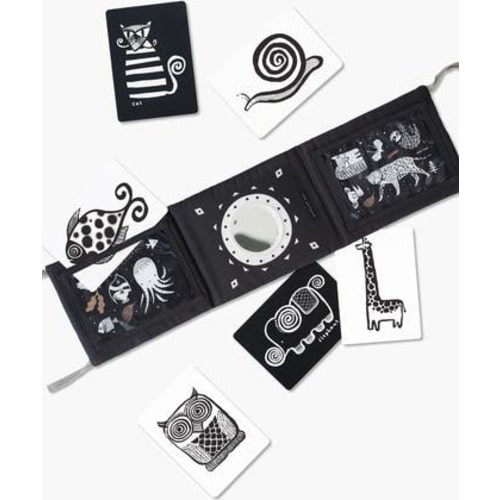 Tummy Time Gallery with Mirror and Art Cards for Baby Bundle