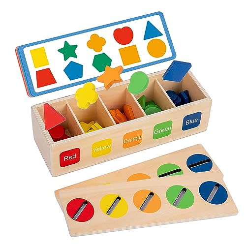 Adena Montessori 10-Shape Wooden Sorter, 2-3y | 10 geometric shapes with color matching. Builds fine motor, sorting & problem-solving. Montessori early learning. Gift.