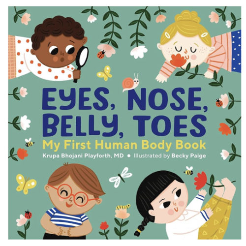 Eyes, Nose, Belly, Toes: My First Human Body Book