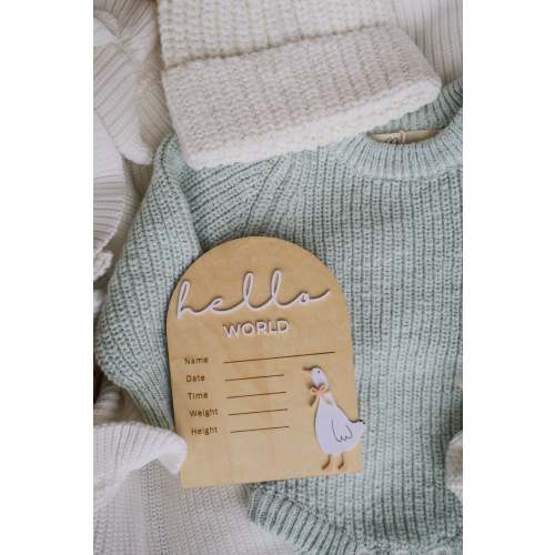 HELLO WORLD | WRITEABLE | GOOSE