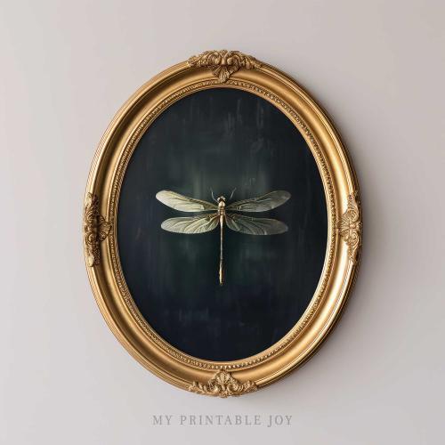 Dragonfly Wall Art Dark Academia Insect Printable on Black Background Vintage Nature Illustration for Moody Gallery Wall Girls Room Nursery