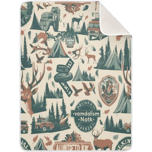 Baby Swaddle Blanket for Boys Girls Soft Warm Stroller Throw Blanket for Newborn Infant Toddler 30X40in National Park Colorful Vintage Pattern