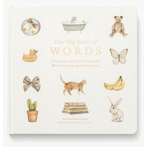 Our Big Book of First Words