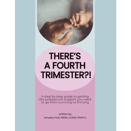 There's a Fourth Trimester?!: A step by step guide to getting the postpartum support you need to go from surviving to thriving