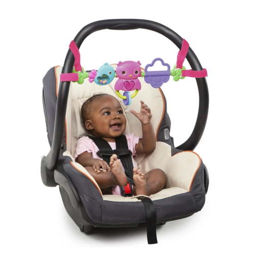 Bright Starts Busy Birdies Musical Toy Bar with Lights for Newborns