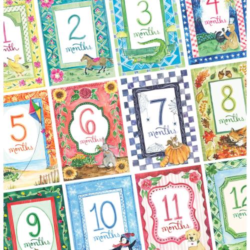 Baby Milestone Cards ~ Monthly Themes