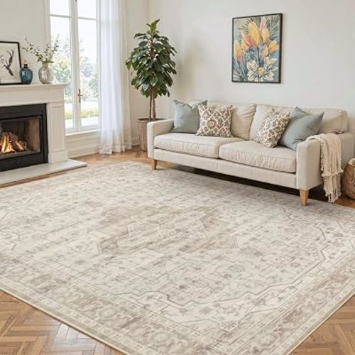 6x9 Washable Area Rug for Living Room, Vintage Neutral Rug