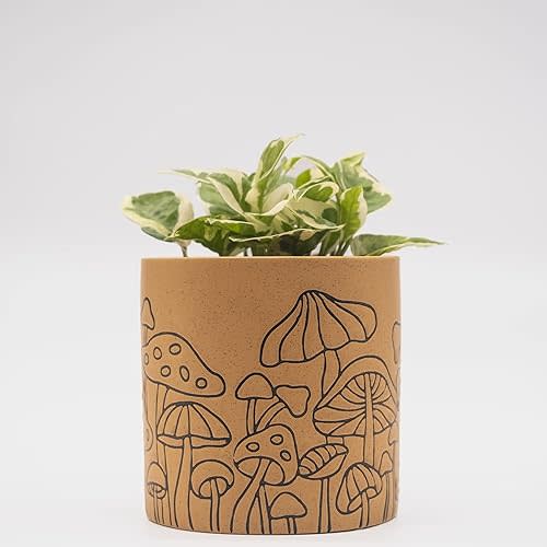 BASE ROOTS Mushroom Planter, Speckled Terracotta, Indoor/Outdoor, Holds Small Plants