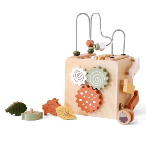 Montessori Wooden Activity Cube