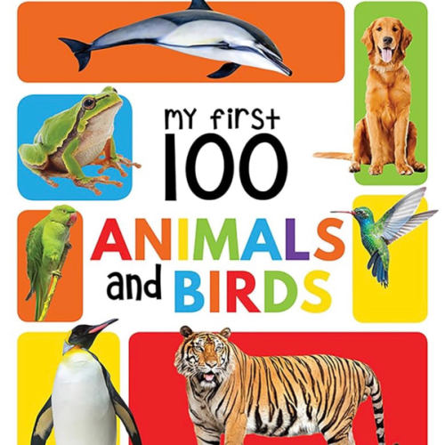 My First 100 Animals and Birds Board Book, My 100 Library Series