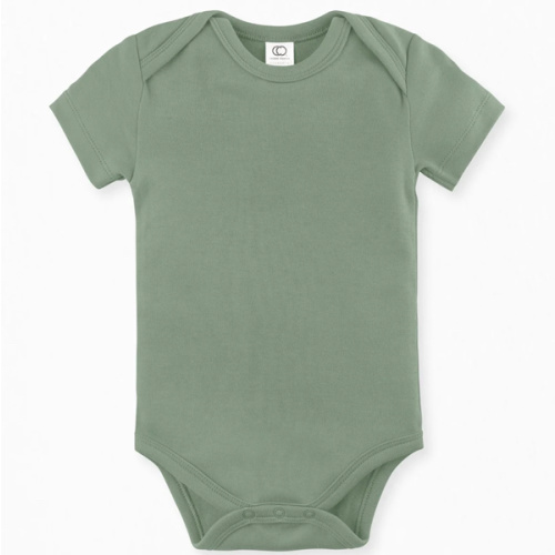 Short Sleeve Bodysuit | Thyme; Size 0-3M
