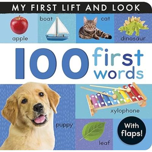 100 First Words: My First Lift and Look (with Flaps)