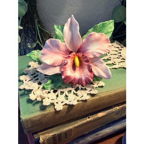 Vintage Georgian Fine Porcelain Hand-Painted Cattleya Orchid Flower – 6” Wide